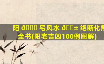 阳 🐟 宅风水 🐱 绝断化煞全书(阳宅吉凶100例图解)